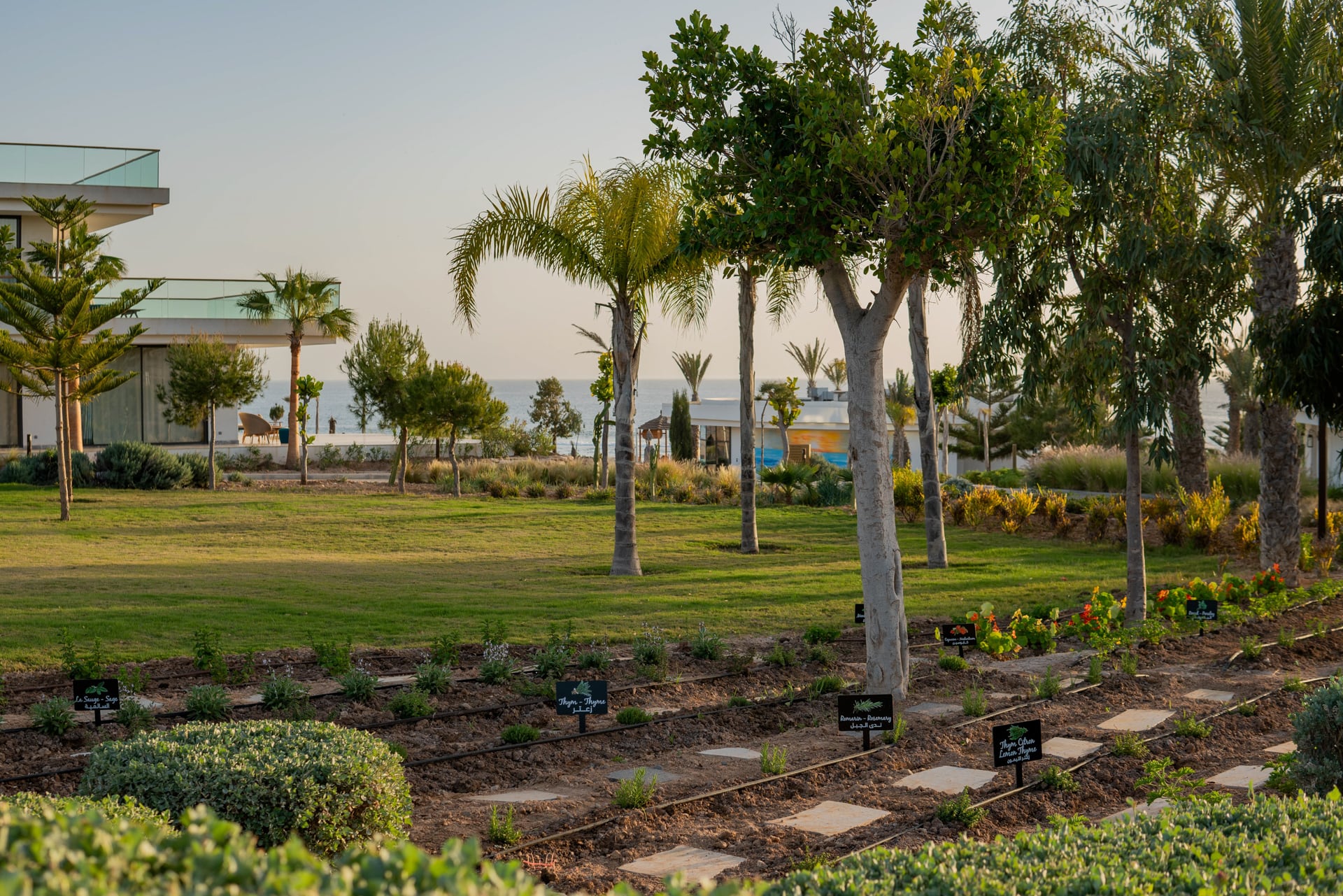 Marokko Agadir Hyatt Regency Taghazou Garten