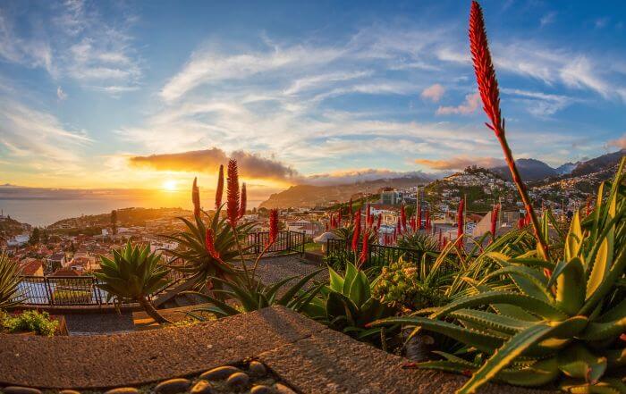 Portugal Madeira AdobeStock_427231479 von papics