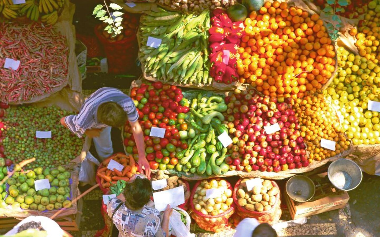 Wochenmarkt in Mercado dos Lavradores