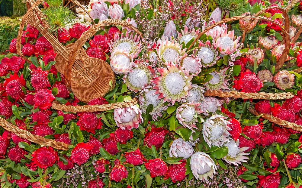 Blumenfest auf Madeira