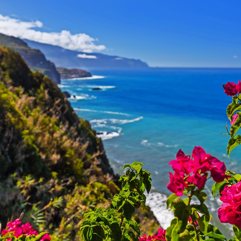 Klippenküste mit blühenden roten Bougainvilleen am blauen Meer.