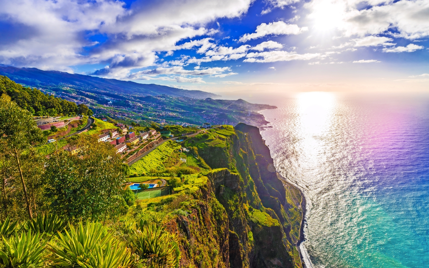 Klippen von Cabo Girão auf Madeira, Portugal