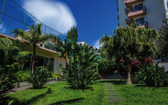 Garten des Hotel Dorisol Estrelicia in Funchal mit Palmen und gepflegtem Rasen.