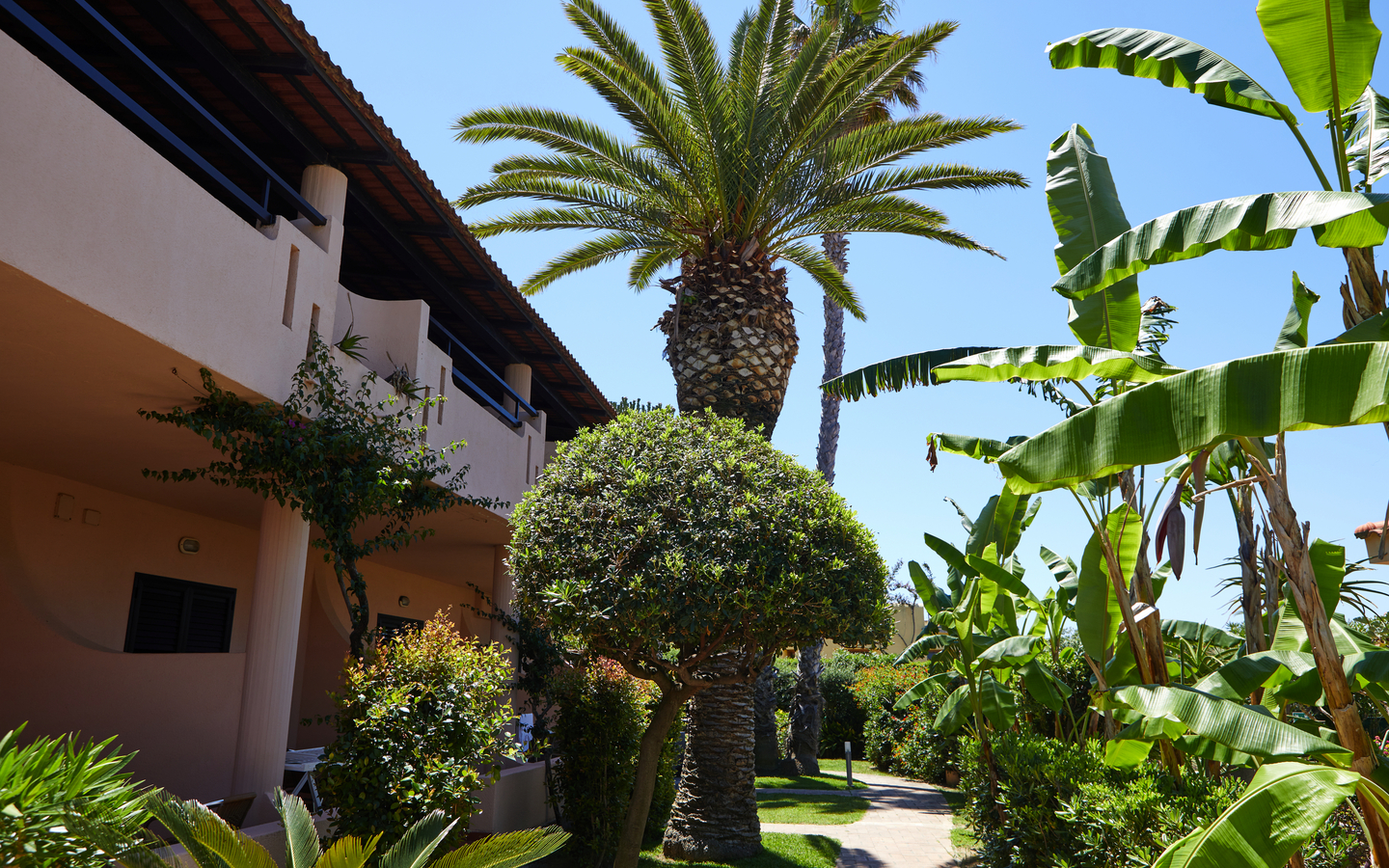 Gartenansicht mit Palmen und Hotelgebäude bei sonnigem Wetter.
