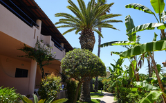 Gartenansicht mit Palmen und Hotelgebäude bei sonnigem Wetter.