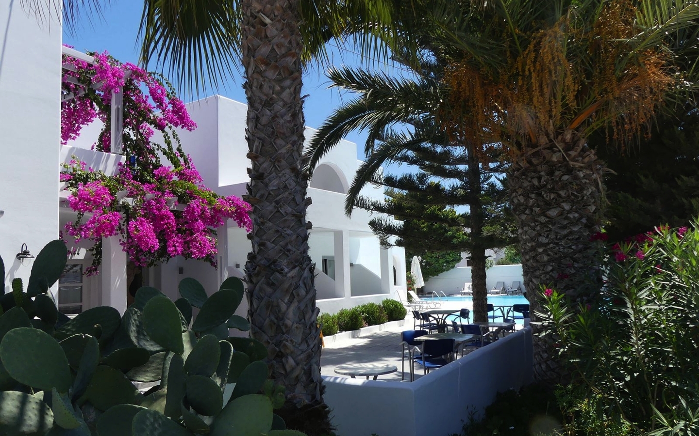 Gartenansicht des Hippocampus Hotels mit Palmen und blühendem Oleander.