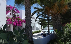 Gartenansicht des Hippocampus Hotels mit Palmen und blühendem Oleander.