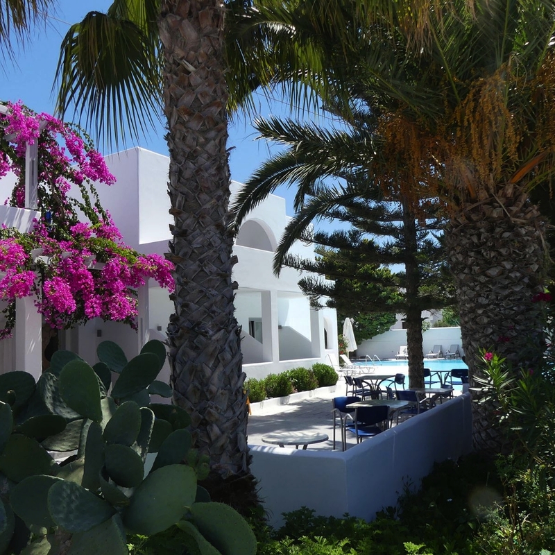 Gartenansicht des Hippocampus Hotels mit Palmen und blühendem Oleander.