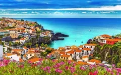 Küstenstadt mit bunten Häusern am Meer, vorne blühende Blumen, blauer Himmel.
