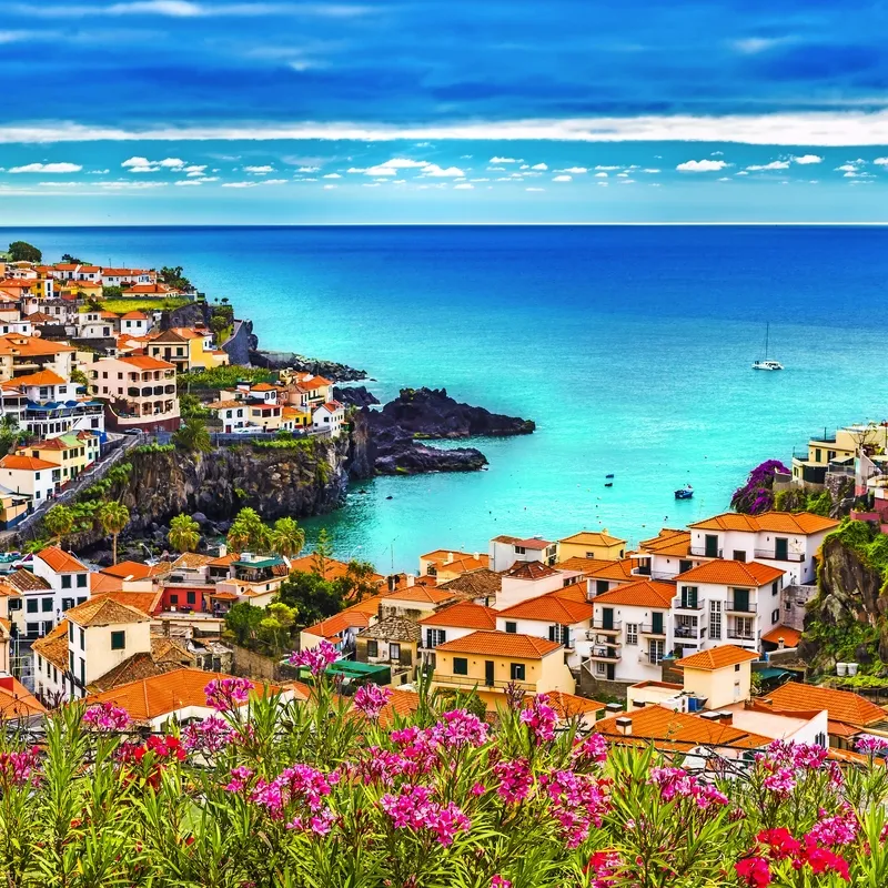 Küstenstadt mit bunten Häusern am Meer, vorne blühende Blumen, blauer Himmel.