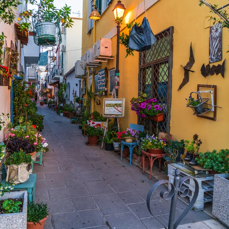 Schmale Gasse mit Blumenarrangements und gelben Gebäuden, dekoriert mit Pflanzen.