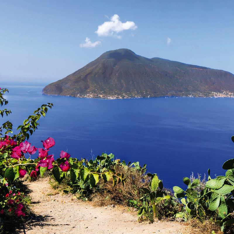 Blick auf die Insel Salina, umgeben von blauem Meer, mit blühenden Pflanzen im Vordergrund.