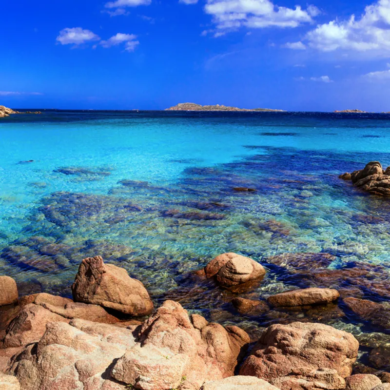 Klares, türkisfarbenes Meereswasser mit Felsen und Bäumen unter blauem Himmel.