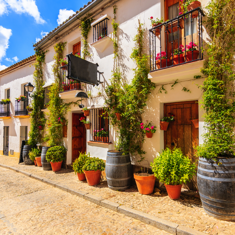 Weiße Häuserfassade mit Kletterpflanzen und Blumentöpfen