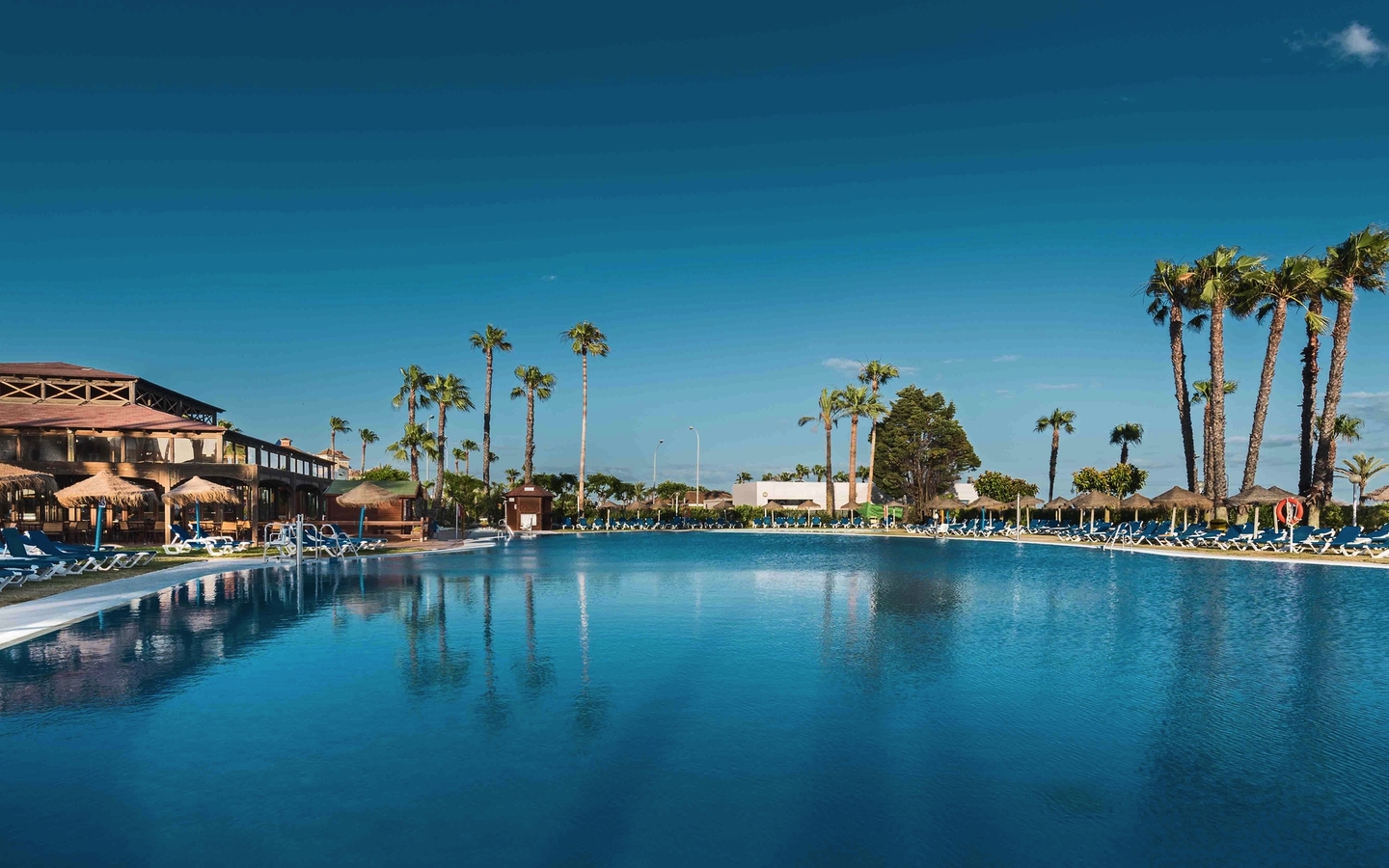 Hotelpool mit Liegestühlen und Palmen unter blauem Himmel.