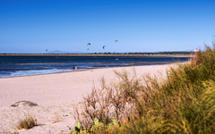 Strand mit Sanddünen, Meer und Kitesurfern in der Ferne unter blauem Himmel.