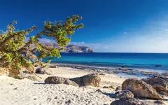 Strand Kedrodasos mit Pinienbäumen, Sand und klarem Meer bei sonnigem Wetter auf Kreta.