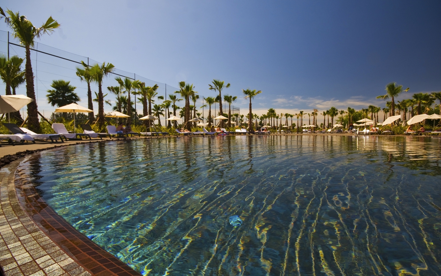 Außenpool mit Palmen und Liegestühlen im Marriott Salgados Golf Resort, Algarve.