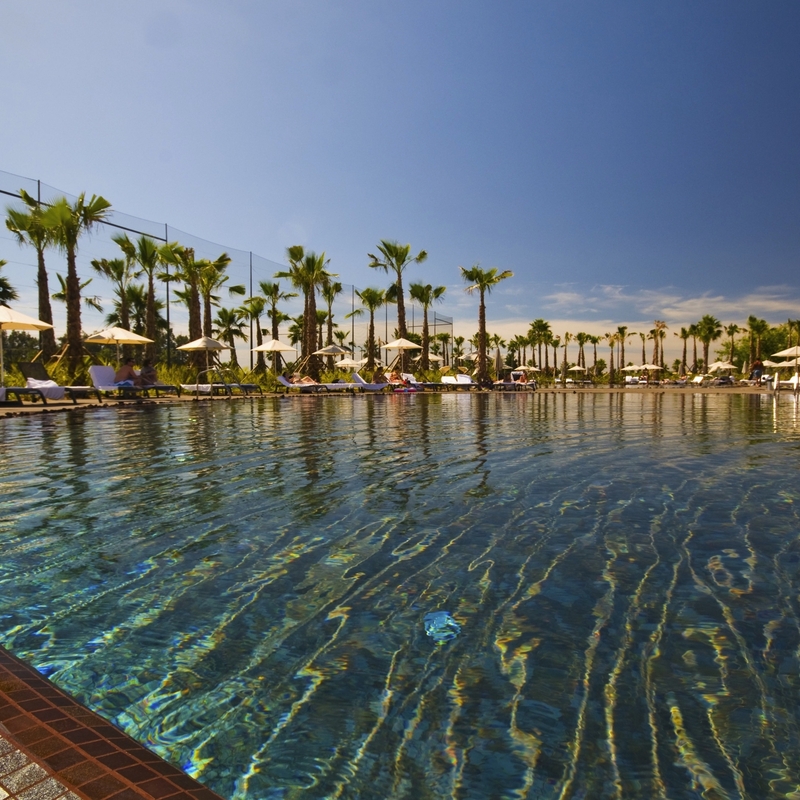 Außenpool mit Palmen und Liegestühlen im Marriott Salgados Golf Resort, Algarve.