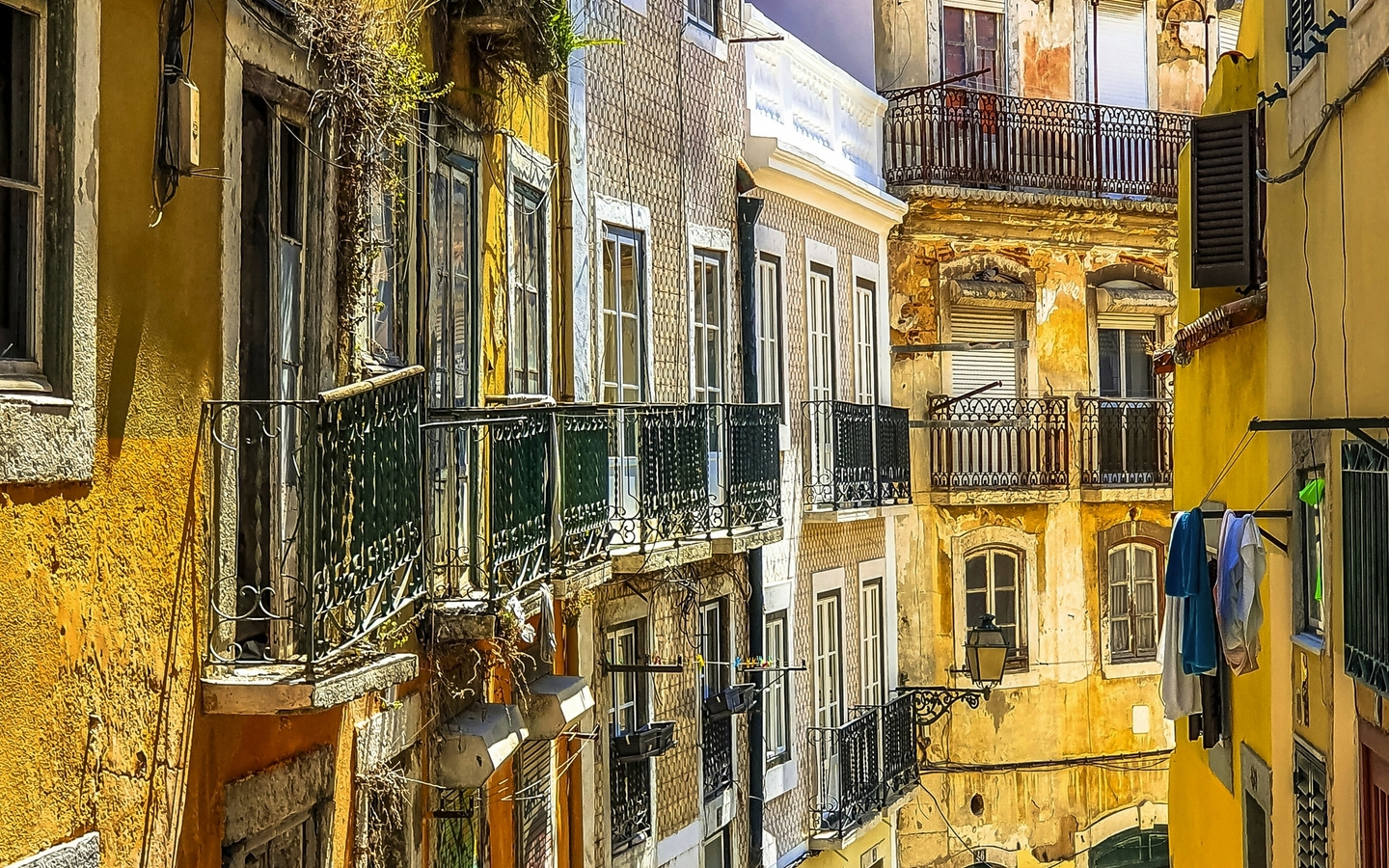 Bunte Häuser in einer schmalen Straße der Altstadt von Lissabon, Portugal.