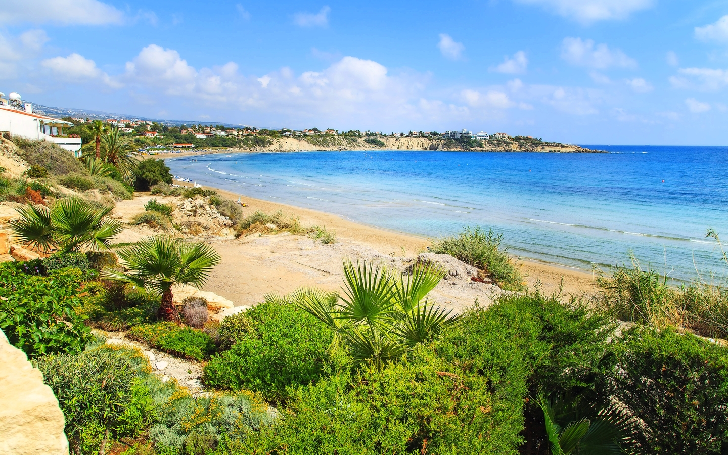 Küste mit Palmen, Sandstrand und blauem Meer unter einem leicht bewölkten Himmel.