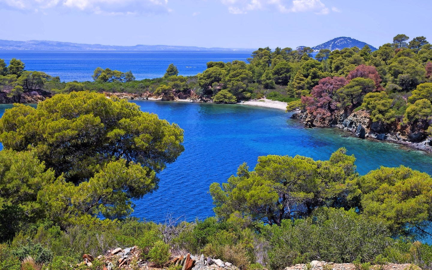 Küste mit klarem Wasser und Kiefern, im Hintergrund Hügel und blauer Himmel.