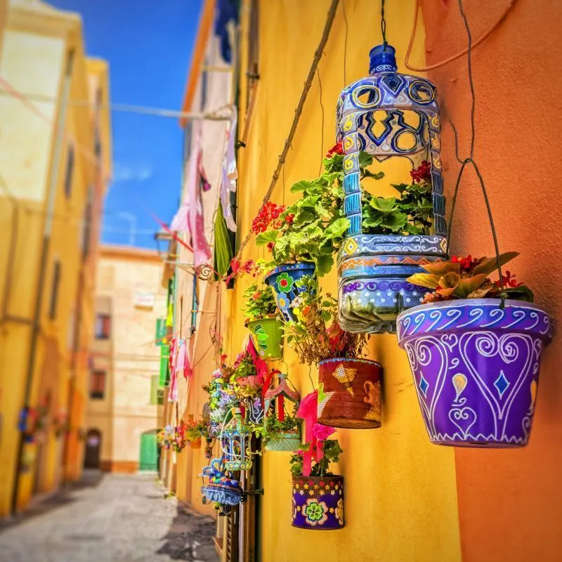 Bunte Hängepflanzen in einer schmalen, sonnigen Gasse in Alghero, Sardinien.