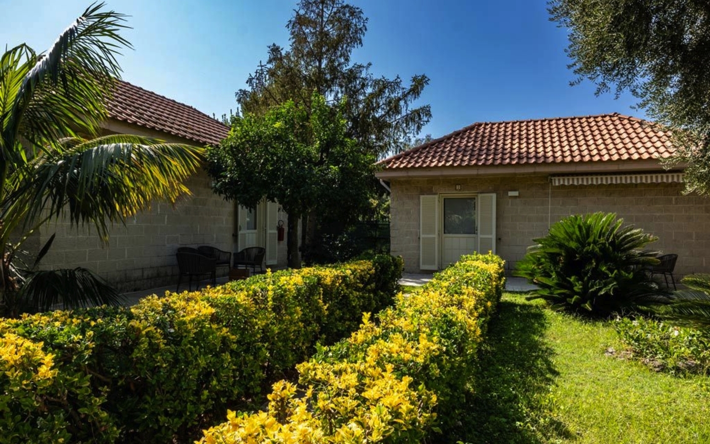 Bungalow im Grünen mit Palmen und Sträuchern unter blauem Himmel.