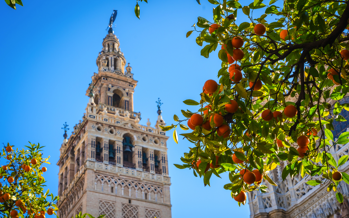 Giralda - Turm in Sevilla