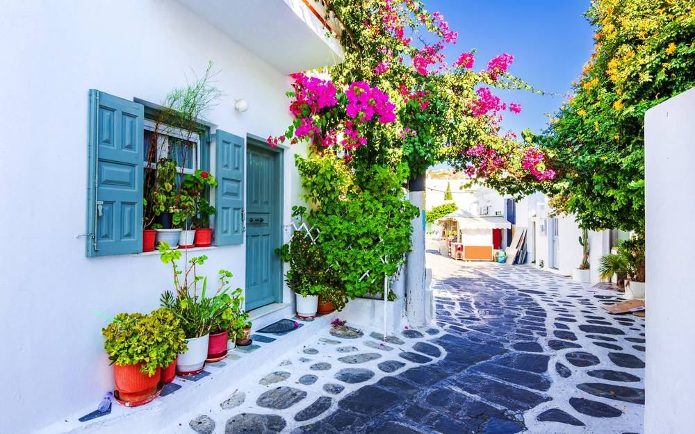 Enge Gasse in Mykonos mit blühenden Bougainvillea und weißen Häusern.