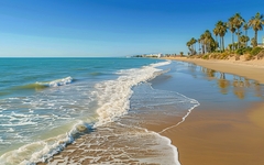 Strand mit Palmen an der Costa de la Luz in Islantilla, Spanien