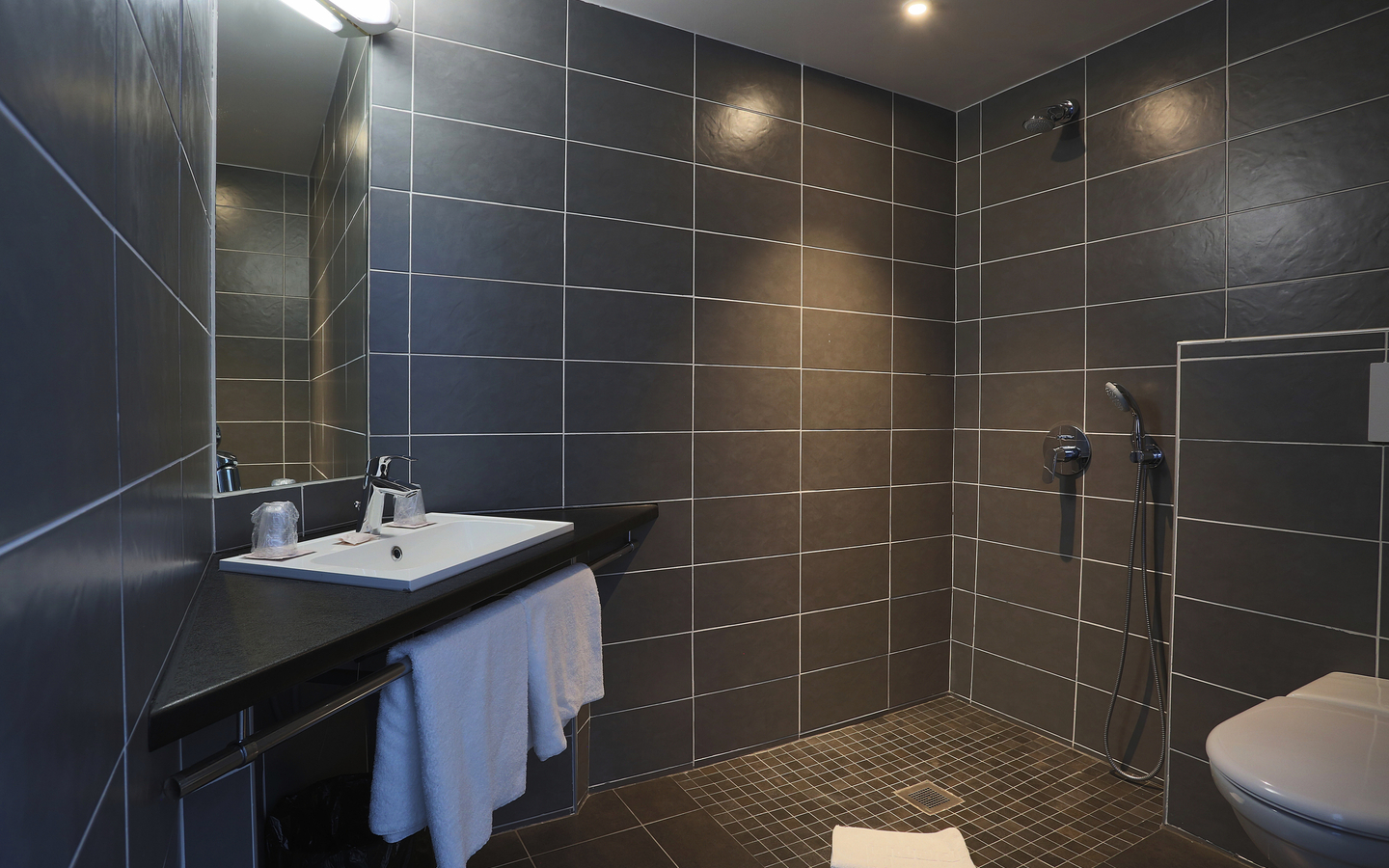 Modernes Badezimmer mit grauen Fliesen, Waschbecken und offener Dusche.