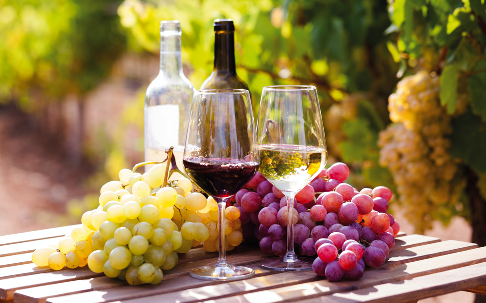 Wein und Trauben auf einem Holztisch in einem Weinberg.