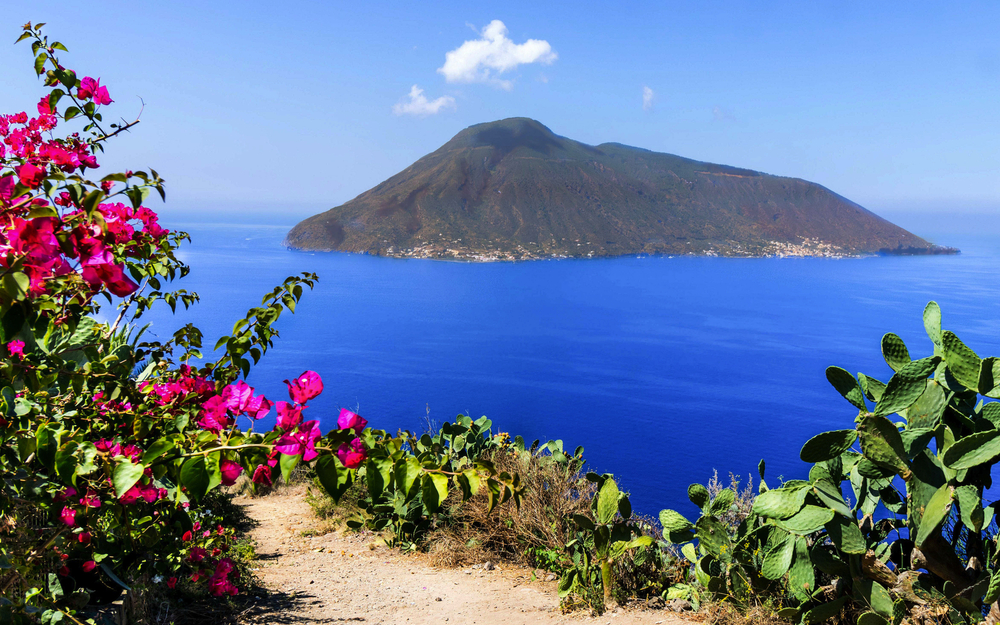 Blick auf die Insel Vulcano mit Blumen im Vordergrund und blauem Meer im Hintergrund.