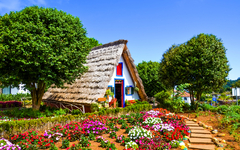 Traditionelles A-förmiges Haus mit Strohdach, umgeben von buntem Garten und Bäumen.